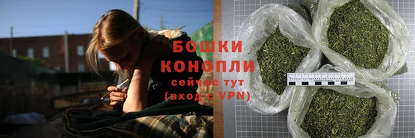стафф Вяземский