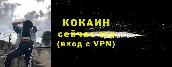молекула духа Вязники