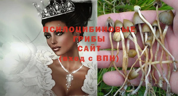 молекула духа Вязники