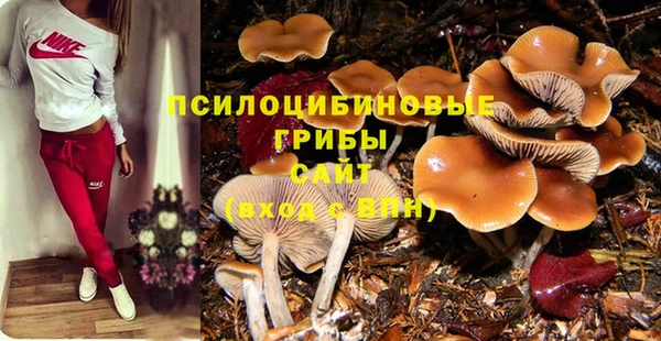 молекула духа Вязники