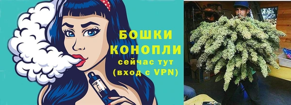 стафф Вяземский