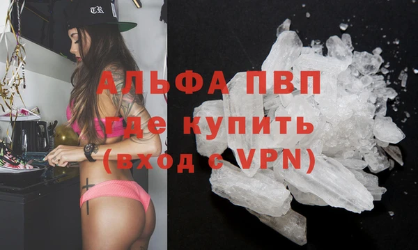 стафф Вяземский