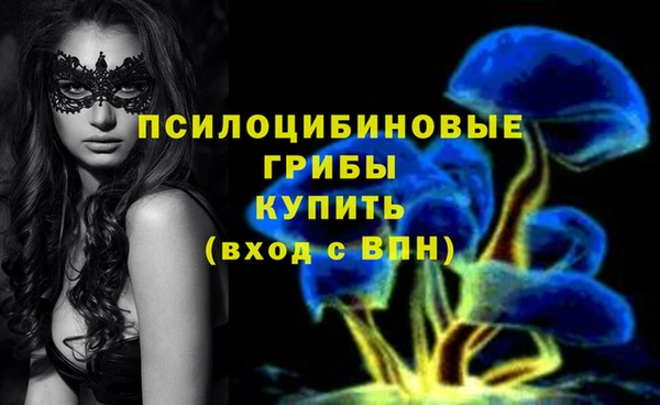 стафф Вяземский