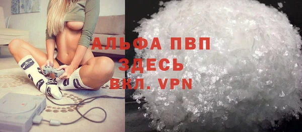 стафф Вяземский