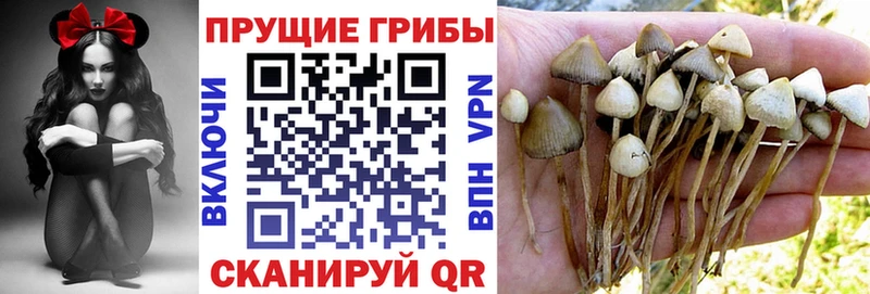 ссылка на мегу вход  купить  сайты  Смоленск  Псилоцибиновые грибы мухоморы 